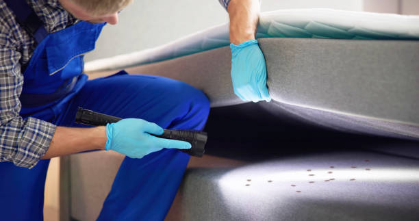 Best Flea Control Services  in Yardley, PA