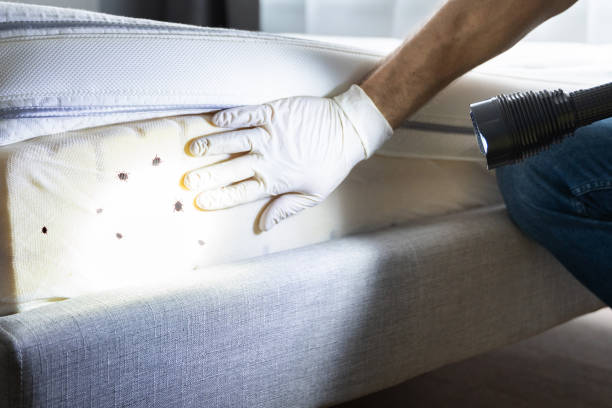Best Residential Pest Control  in Yardley, PA
